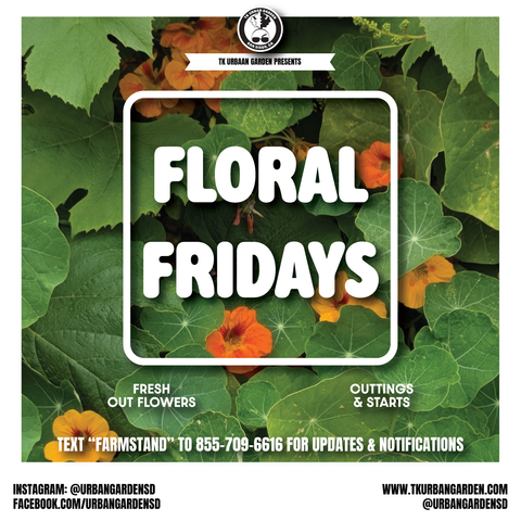 Announcing Floral Fridays