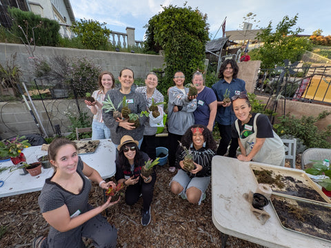 Our First Kokedama Making Workshop