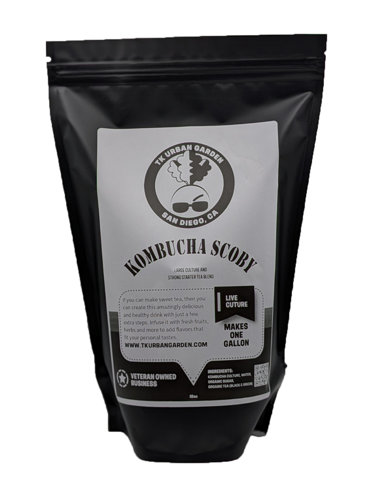Kombucha Scoby