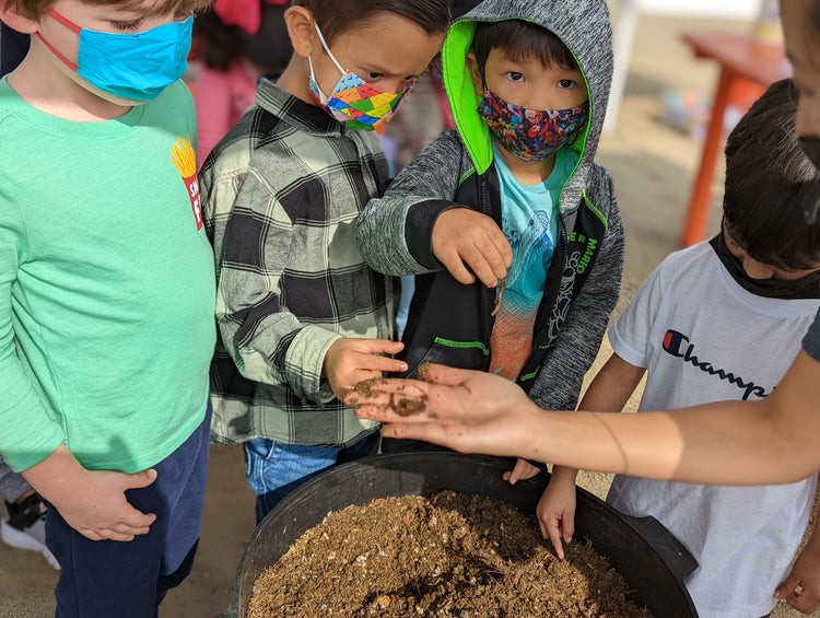 3-day Urban Gardening Experience (on-site)