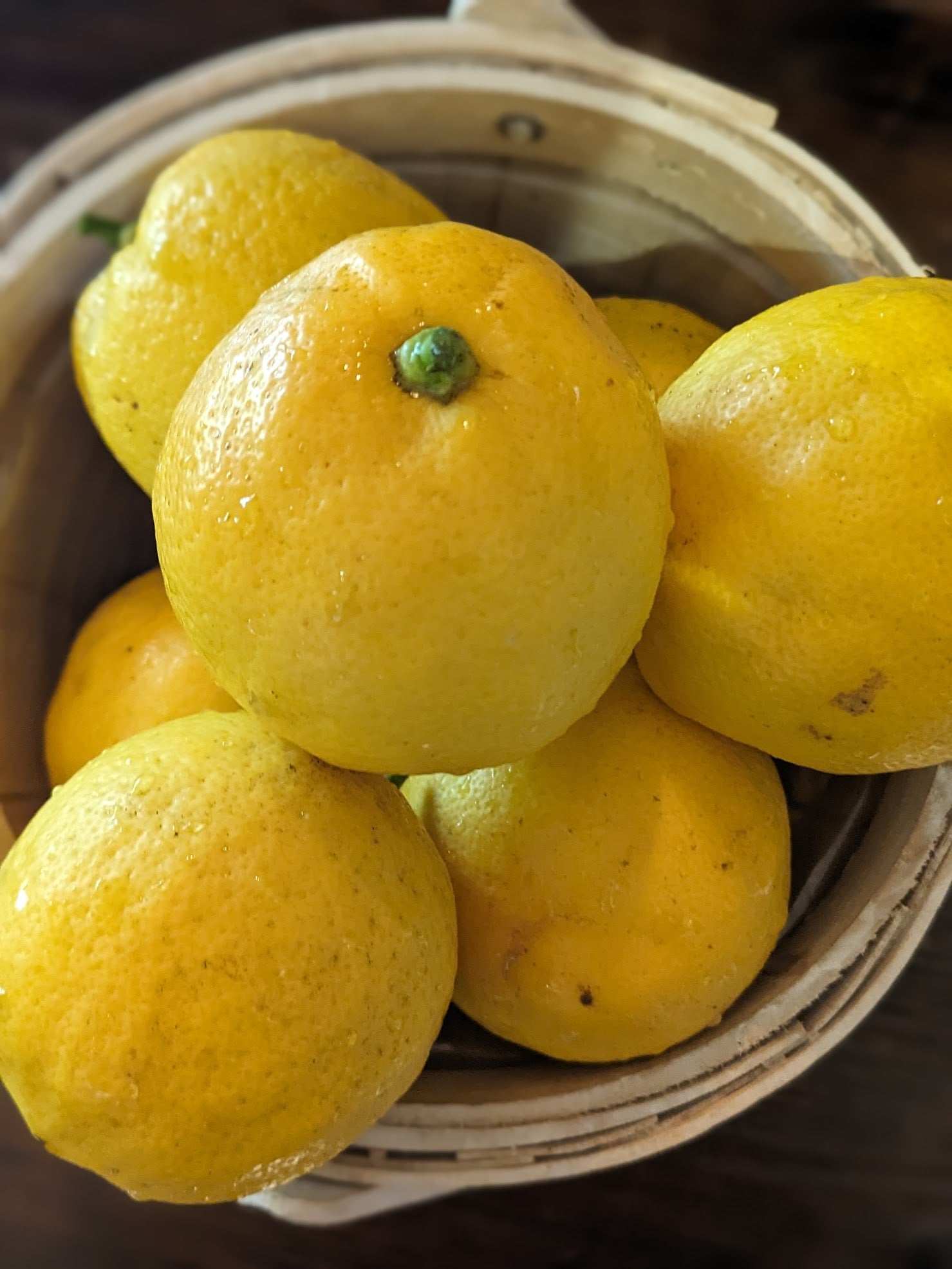 Fruit & Veggies – TK Urban Garden