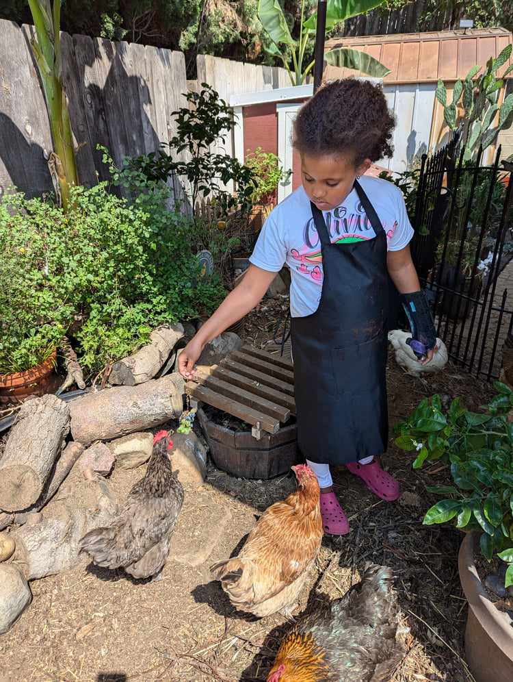 3-day Urban Gardening Experience (on-site)