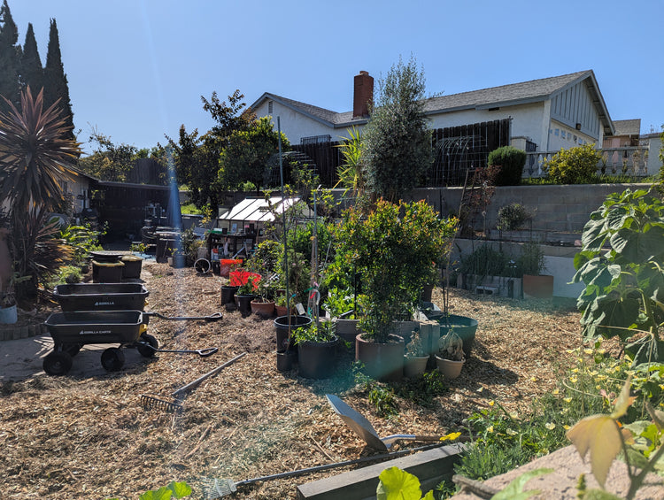 3-day Urban Gardening Experience (on-site)