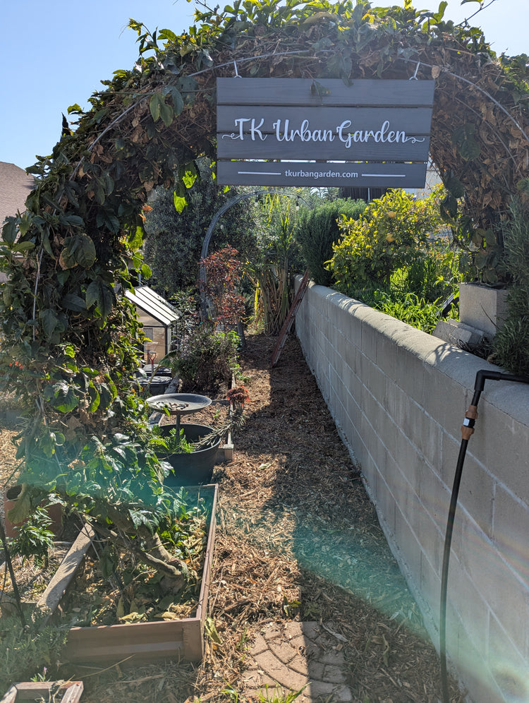 3-day Urban Gardening Experience (on-site)