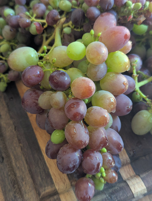 Grapes (1lb)